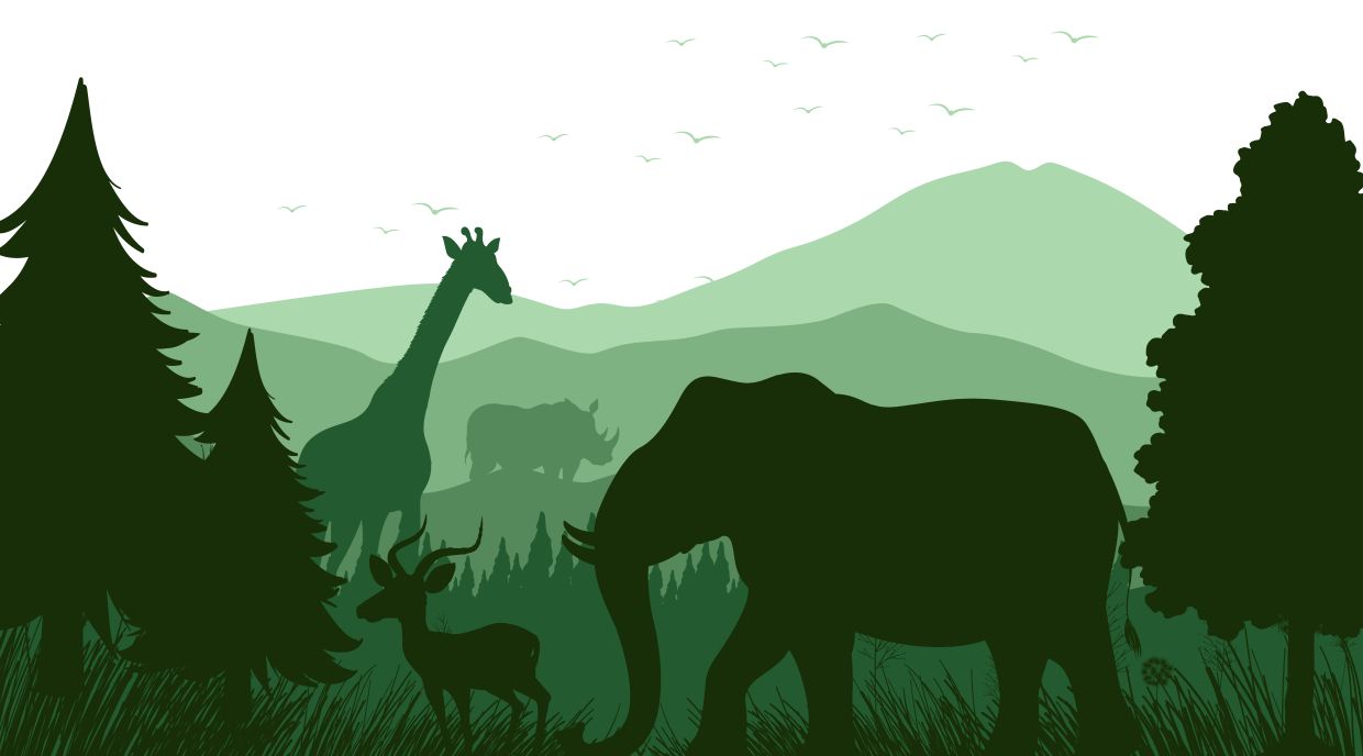 Leveraging AI for global conservation efforts: WWF's innovative approach