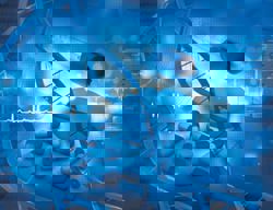 When a baby has diabetes 