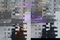 Thunderstorms, heavy rain in KL, seven states until 5pm