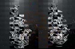 Cops confirm MPV in viral video belongs to Sg Buloh IPD, still probing incident