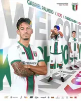 Cats will make do without Palmero as Rhinos loom 