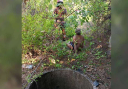 63-year-old man rescued after two days trapped in Butterworth well