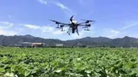 Japan's newspaper association call for caution over tighter drone rules