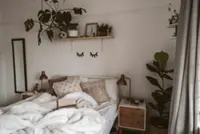 QuickCheck: Is keeping plants in your bedroom good for your health?