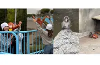 Punch in your area: Blackpink's Lisa meets Internet's favourite 'lonely monkey'