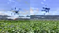 Japan's newspaper association call for caution over tighter drone rules