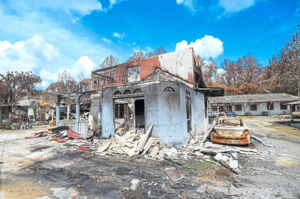 A new life from the ashes