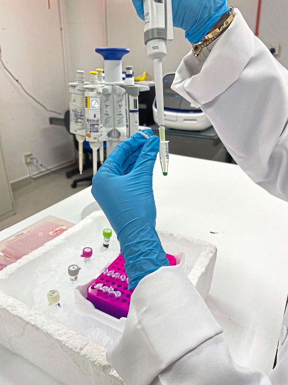 Pharmacogenomics looks at how our genetic makeup influences the way we respond to drugs. Photo: Nur Hafizah Annezah Utuh