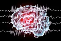 The brain ‘memorises’ seizures, scientists discover