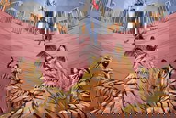 China’s war on corruption – is this just the end of the beginning?