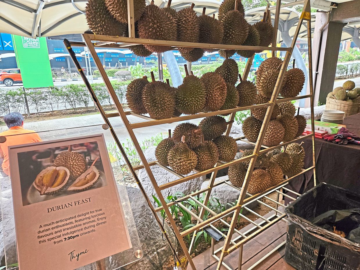 D24 durians.