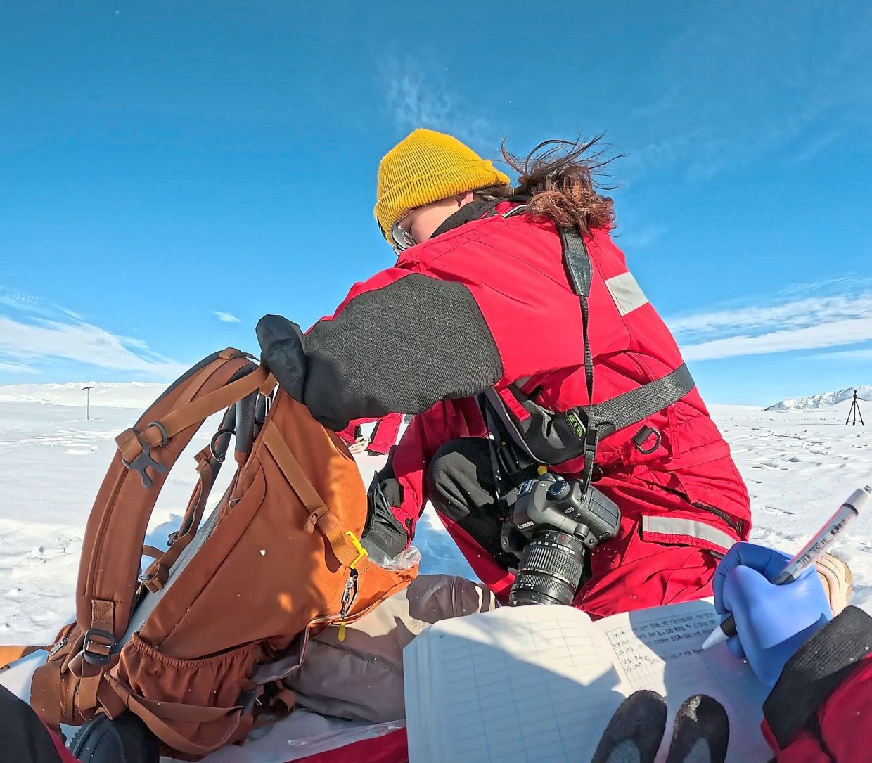 Cheon prepares a tranquiliser dart before tagging a seal.