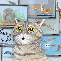 TV is not just for humans anymore, but pets as well