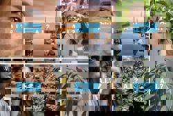 These tools say they can spot AI fakes. Do they really work?