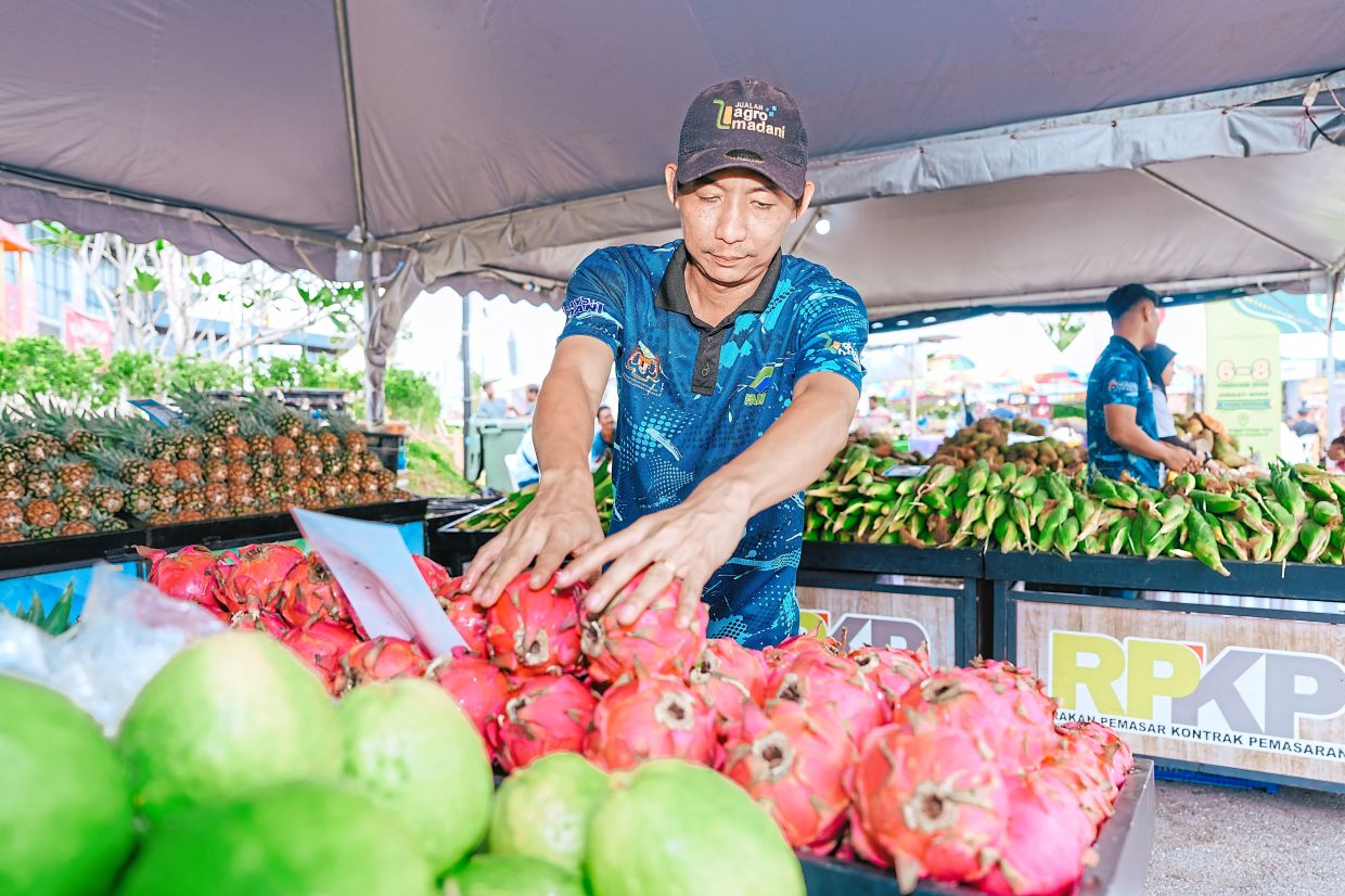 By curbing the influence of middlemen, Fama’s market intervention ensures that more profit goes to the producers and more savings go to the rakyat.