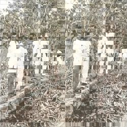 What Tun Razak still teaches about leadership