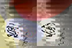 ChatGPT, other AI chatbots approved for official use in US Senate, NYT reports