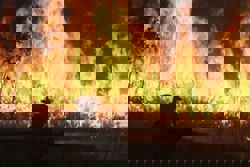 Bomba contains forest fire near Putrajaya toll plaza