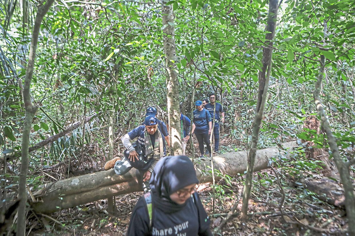 The Denai Warisan trail has high ecotourism potential given the limestone forest, caves, waterfalls and ponds in its path.