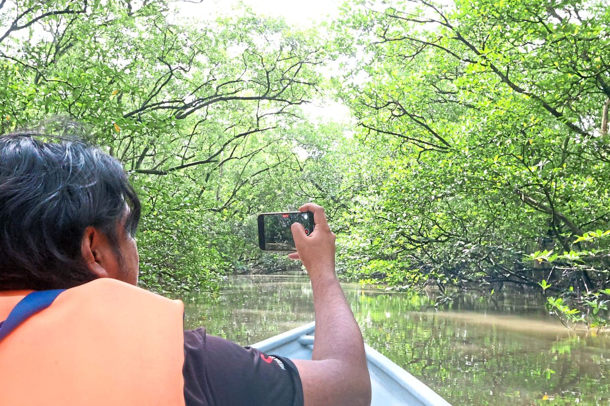 A tourist recording a video as he takes a boat tour of the mangrove forest along Sungai Melayu, near the Johor Straits.