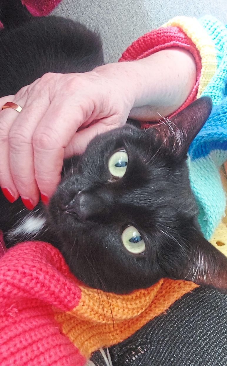 Inkie chirps and purrs.