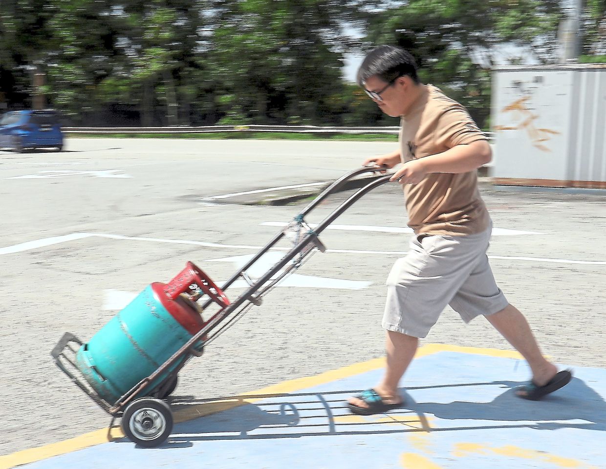 With proper training and support, people with Down syndrome can develop the confidence, independence and skills needed to work.