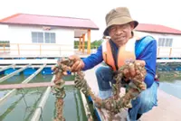 Growing visitor arrivals a boon to Kg Sungai Melayu community