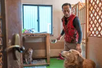 Ex-Fukushima worker’s life of pets