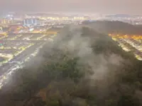 Seri Kembangan forest fire fully extinguished, says Bomba
