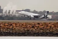 Air New Zealand cuts 1,100 flights over fuel price fears