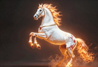 Heart And Soul: Galloping towards new horizons