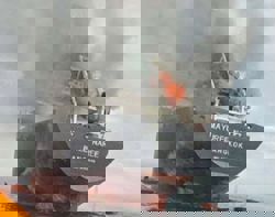 Shares skid, oil surges again as Iran attacks Gulf shipping