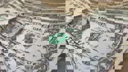 US dollar hovers near 2026 highs as oil's rise spurs hawkish central bank bets