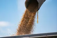 Crop rally from Iran war is spurring farm sales