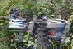 Pakistani man dies in Kota Tinggi crash