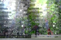 Forget about the ‘5AM club’ if you're not a natural early bird