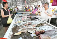 Diesel price hike expected to affect food production