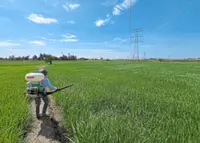 Govt plans modern makeover for farming