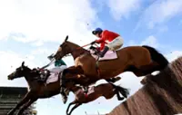 Horse Racing-Four horses die at Cheltenham Festival
