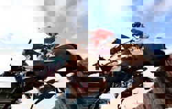 Horse Racing-Four horses die at Cheltenham Festival