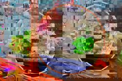 China game shop slammed for using live hamsters in claw machine, now utilising fish, turtles