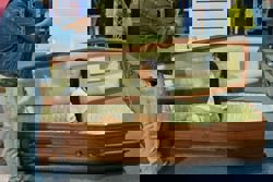 Thailand’s ‘Death Fest’ invites visitors to embrace mortality