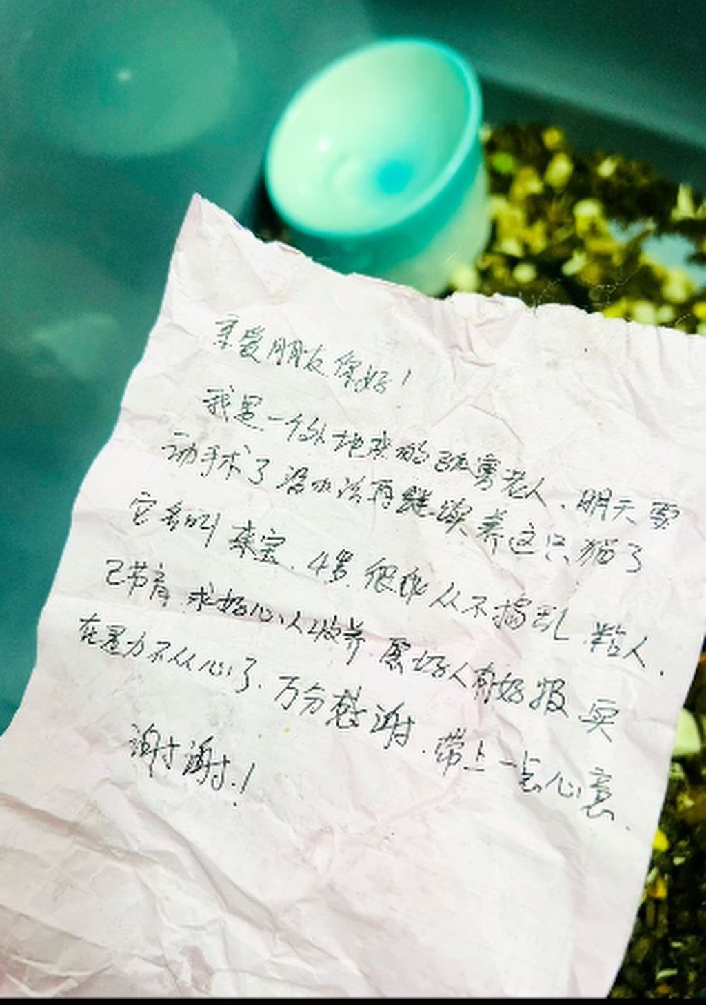 A handwritten note inside the carrier explained the sad circumstances under which the animal had been abandoned. - Photo: Douyin