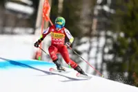 Alpine skiing-Austrian Scheib claims giant slalom globe with win in Are