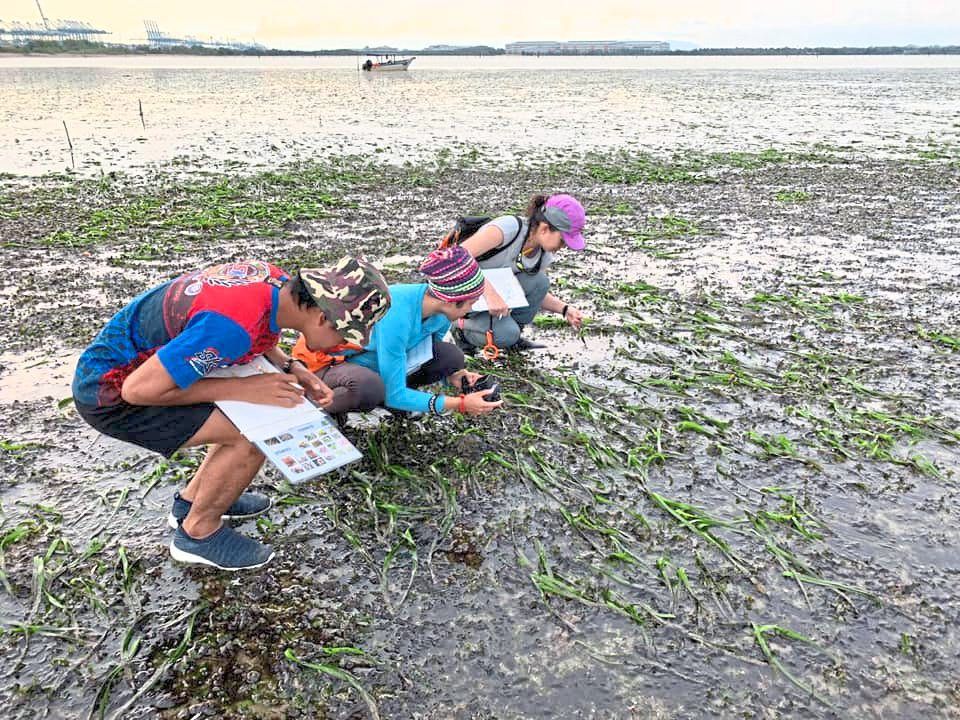 Research team members collecting data at Tanjung Adang, Johor.— JILLIAN OOI