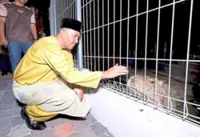 Johor Zoo goes nocturnal in bid to boost tourism