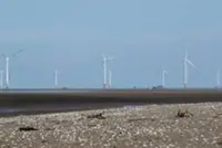 Chinese FM meets with Vietnamese counterpart