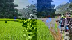 Vietnam taps trail tourism potential