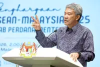 Tok Mat: Malaysians in Mideast can fly back