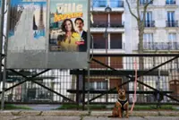 Fetching votes: In Paris mayor's race, dogs dominate campaigns